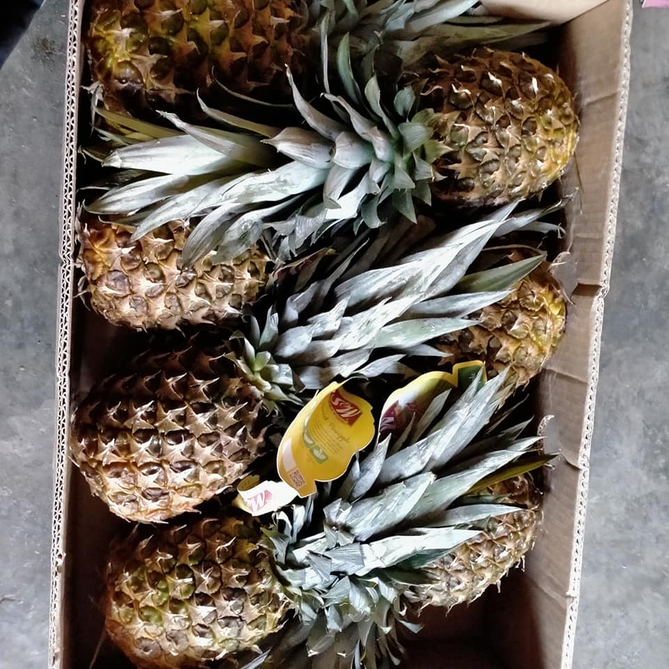 Fresh Baby pineapple Fruit