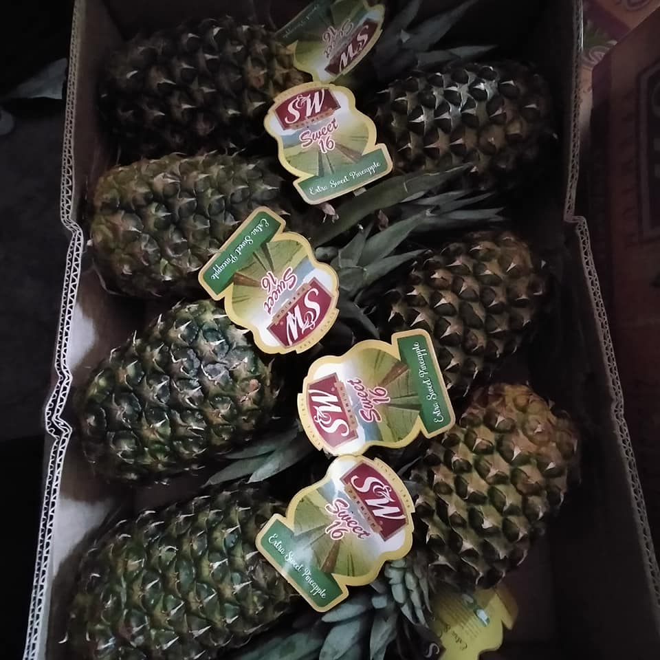 Fresh Baby pineapple Fruit