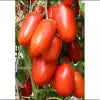 Hybrid Tomato Seeds pack