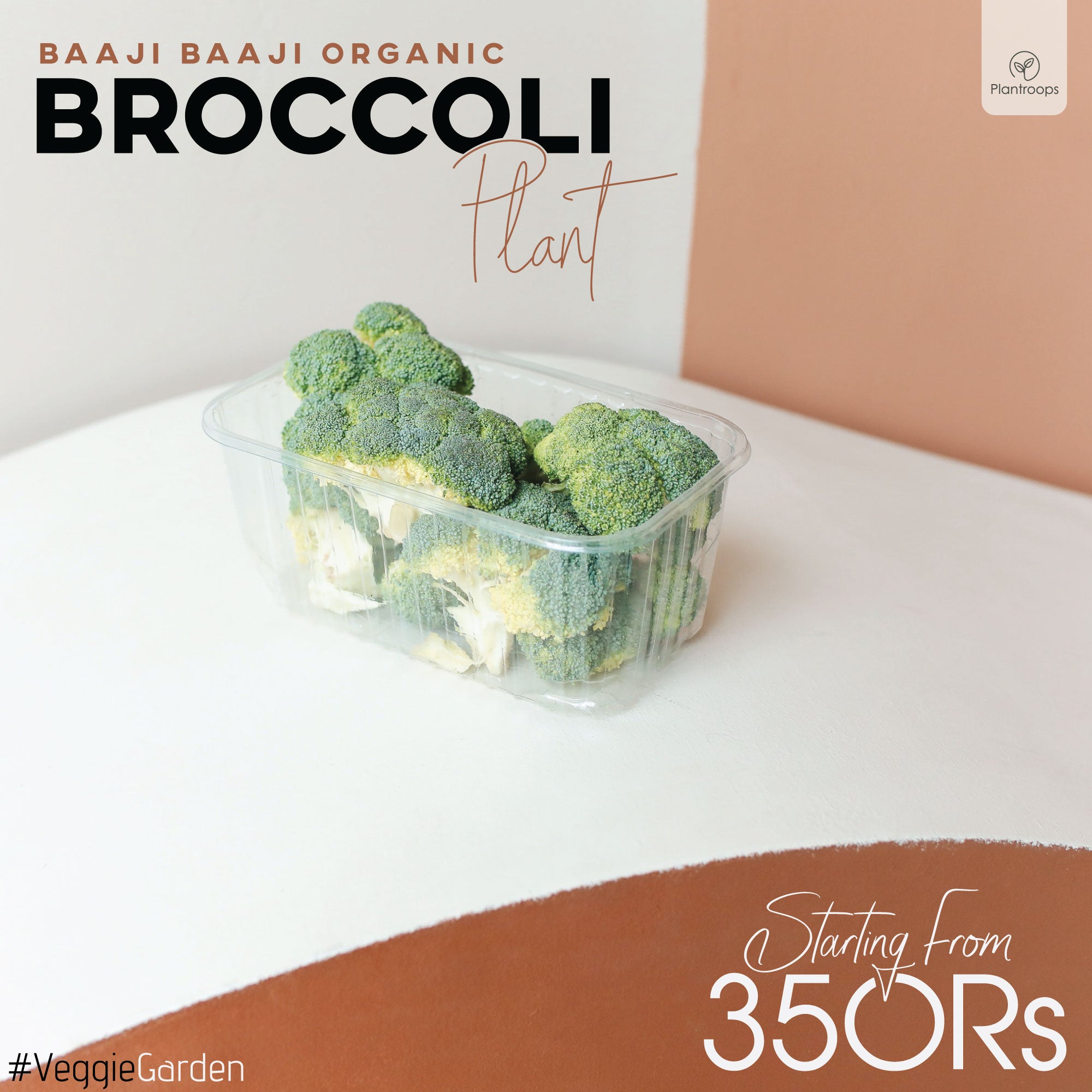 Broccoli Plant