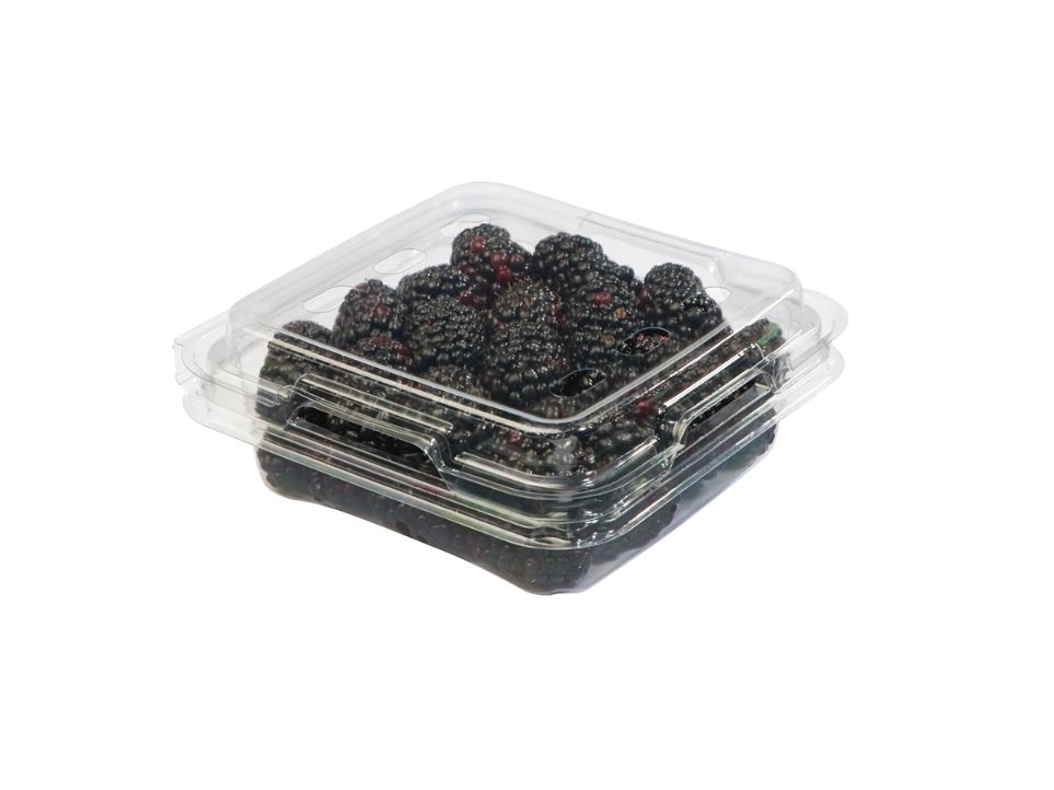 Fresh Blackberries Fruit