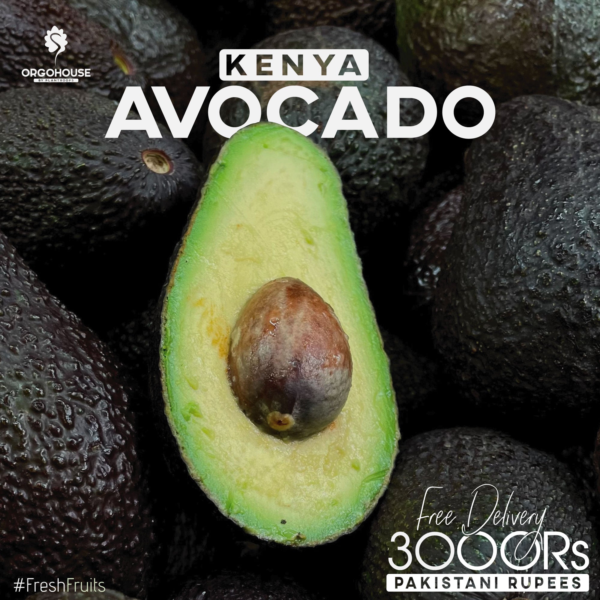 Kin Yan Avocado Fresh Kenya Avocado Fruit – Plantroops