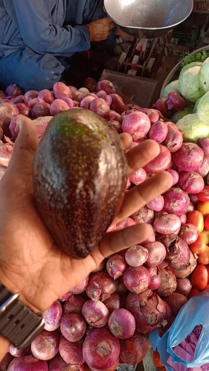 Fresh Kenya Avocado Fruit