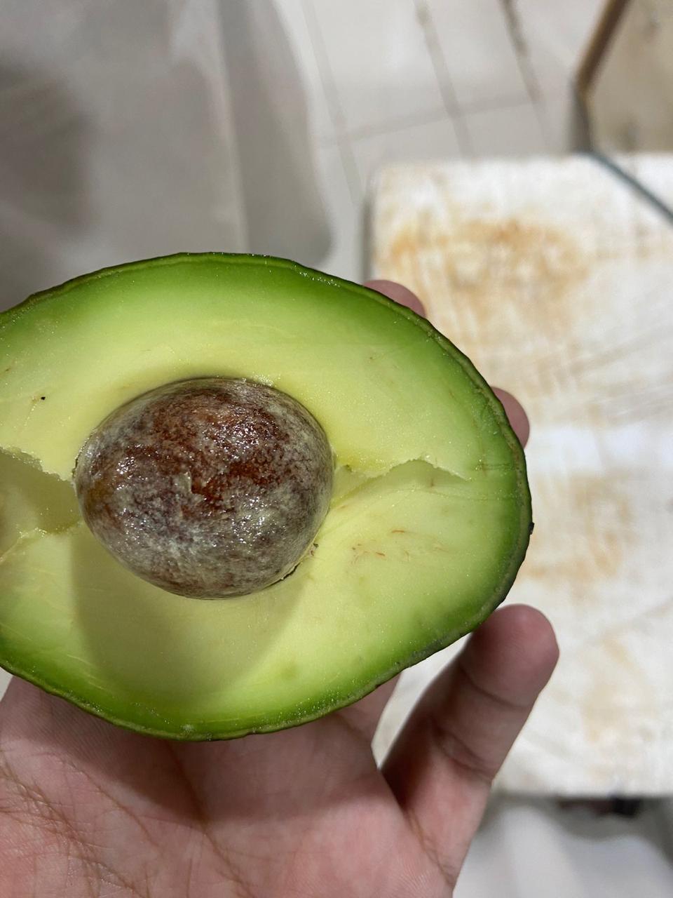Kin Yan Avocado Fresh Kenya Avocado Fruit – Plantroops