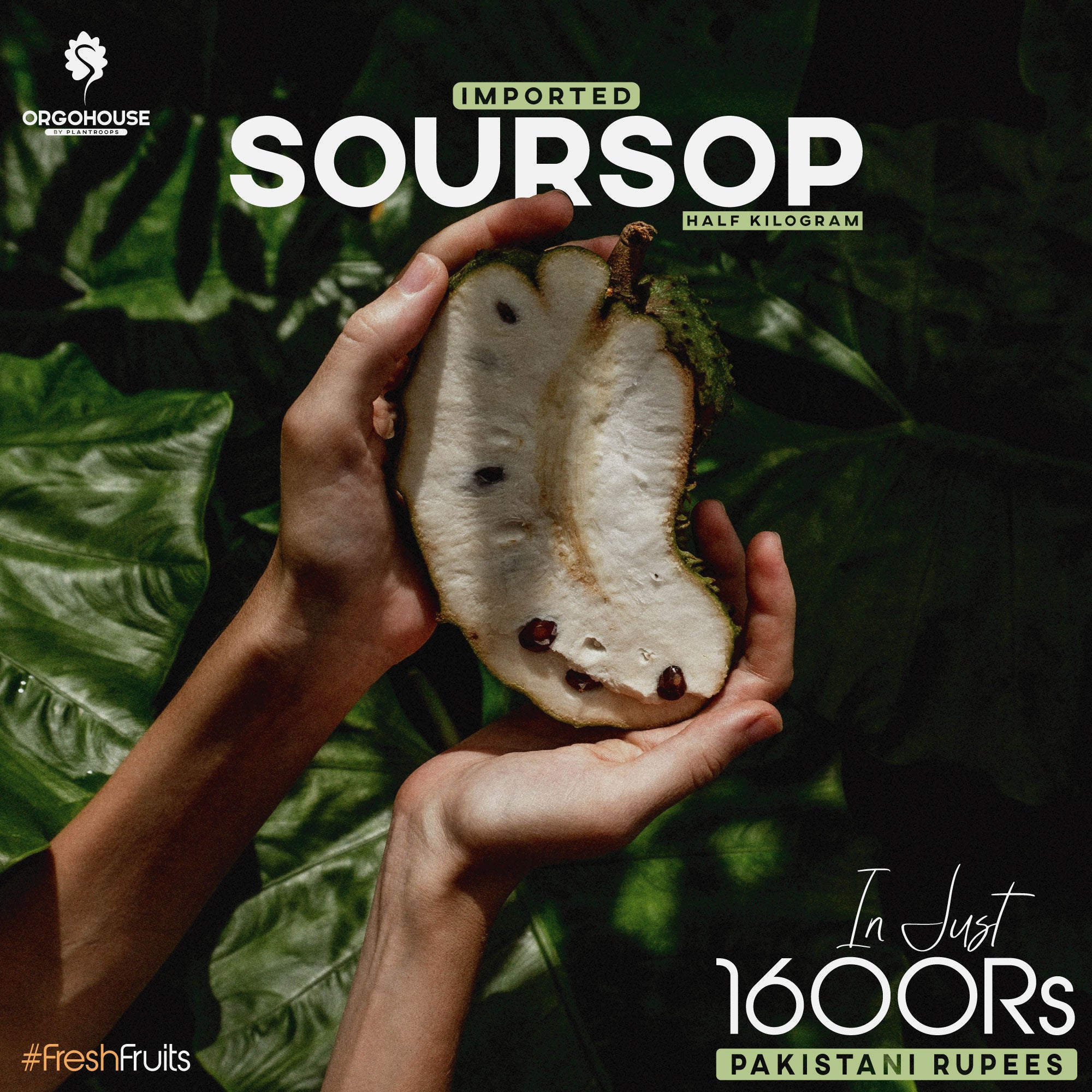 Fresh Soursop Fruit – Plantroops Where to buy soursop near me