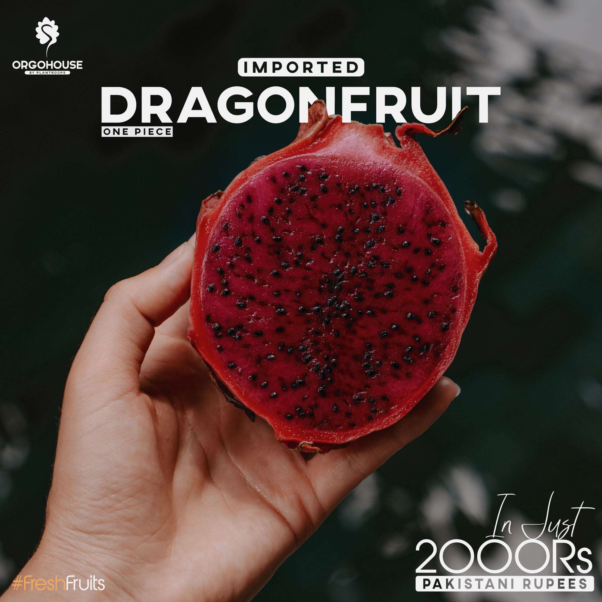 Fresh Red Dragon Fruit