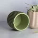 Mini Planter Pots with Lid/Base