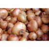 Onion Seeds pack (Phulkara Piaz) Winter Vegetable Seeds For Home Gardening