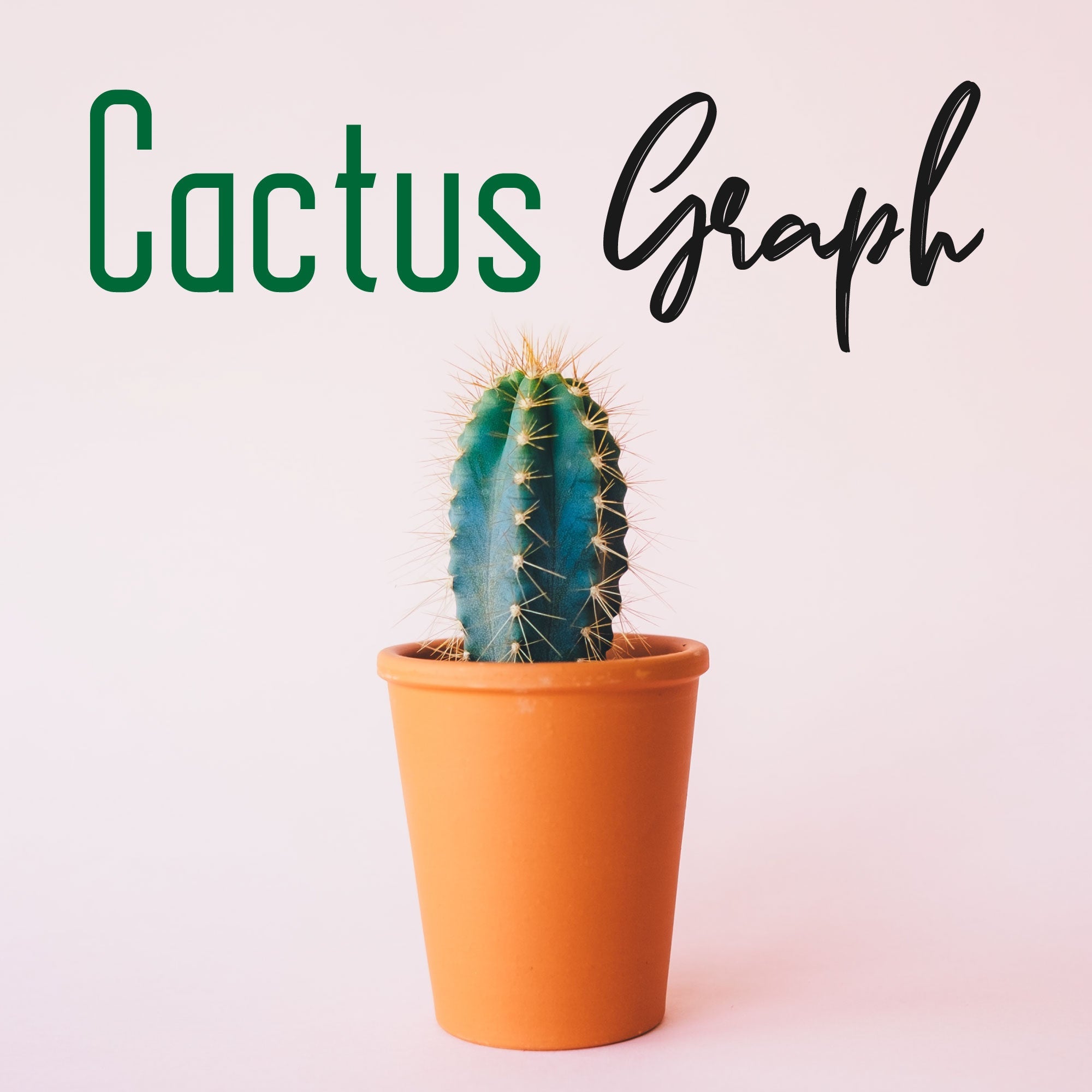 Cactus Graph